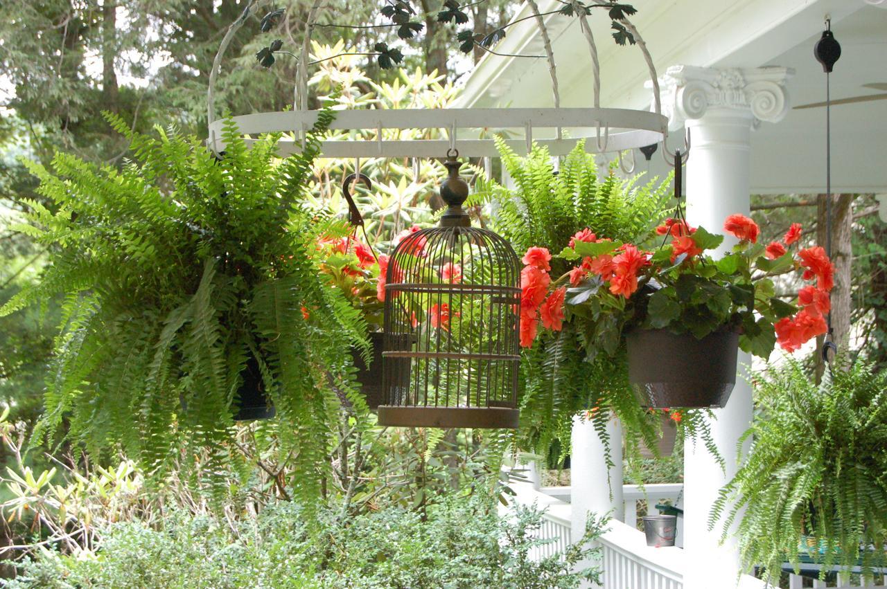 Mountain Laurel Inn Damascus Экстерьер фото